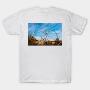 Twisting Fall Branches T-Shirt